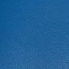 pelle liscia blu